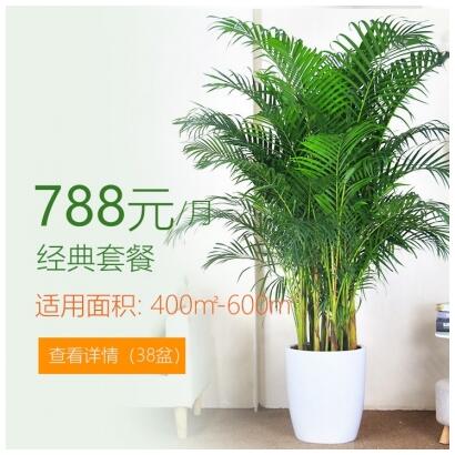 788/mkֲ⻨ײ 400-600ƽ